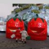 Modellbahnclub-Melle &raquo; 2026